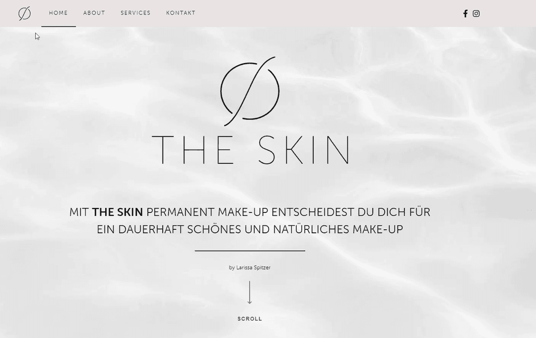 The Skin by Larissa